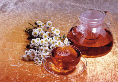 Herbatka margerytki